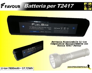 batteria_favour_t2417