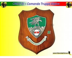 crest_standard_truppe_alpine_ei
